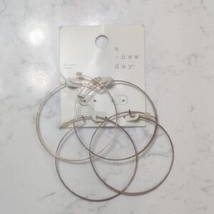 A New Day Metallic Hoop Earrings